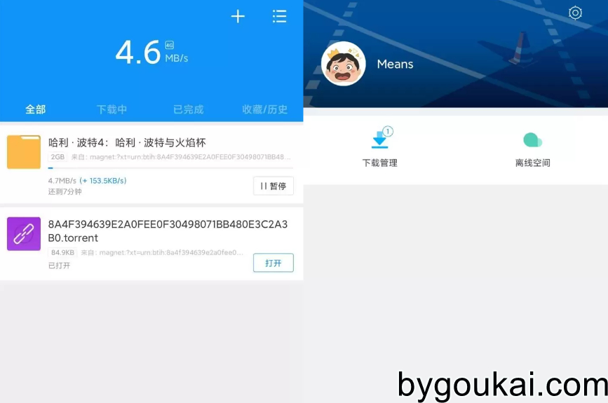 图片[1] - 迅雷VIP版去广告解锁，限速解除的无限速版 - 狗凯之家免费源码网