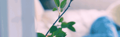 1.gif