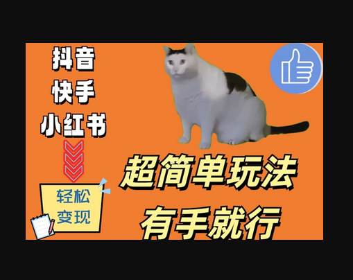 超简单玩法，有手就行，靠猫咪视频日入500+ - 狗凯之家免费源码网