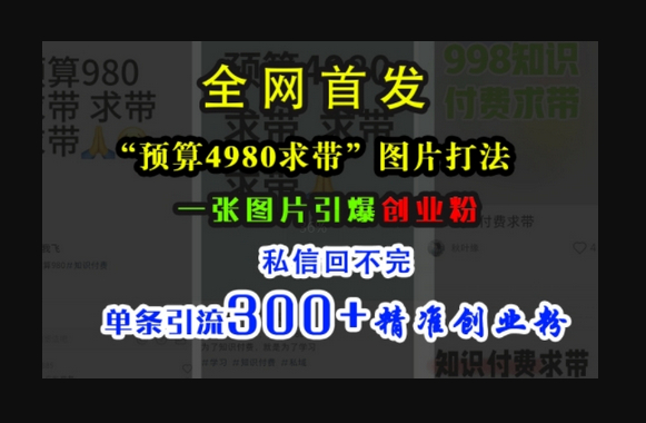 小红书“预算4980带我飞”图片打法，一张图片引爆创业粉，私信回不完，单条引流300+精准创业粉 - 狗凯之家免费源码网