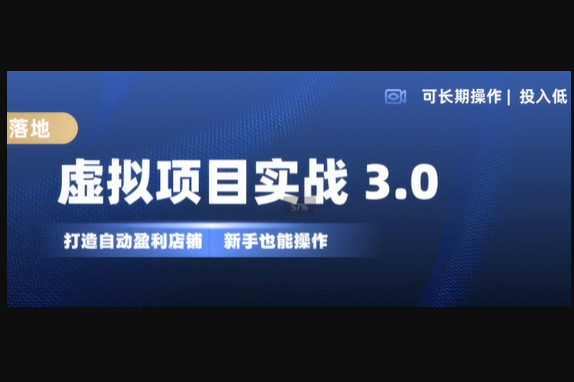 虚拟项目实战3.0，打造自动盈利店铺，可长期操作投入低，新手也能操作 - 狗凯之家免费源码网