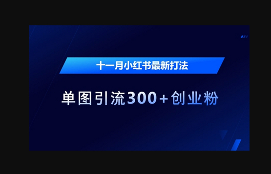 十一月小红书最新打法，单图引流300+创业粉 - 狗凯之家免费源码网