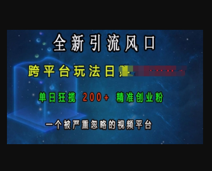 全新引流风口，跨平台玩法日入上k，单日狂揽200+精准创业粉，一个被严重忽略的视频平台 - 狗凯之家免费源码网