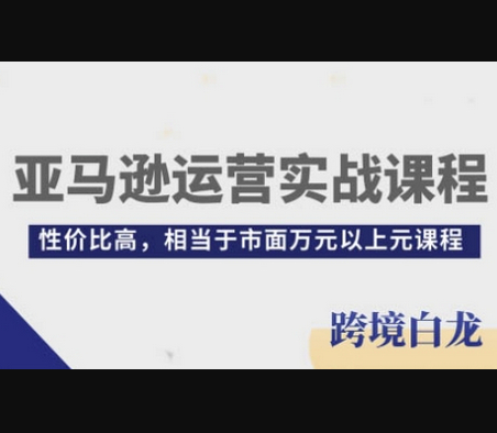 亚马逊运营实战课程，亚马逊从入门到精通，性价比高，相当于市面万元以上元课程 - 狗凯之家免费源码网