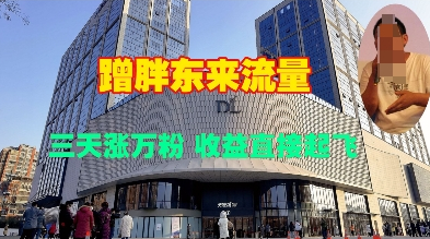 蹭胖东来流量，三天涨万粉，收益直接起飞 - 狗凯之家免费源码网